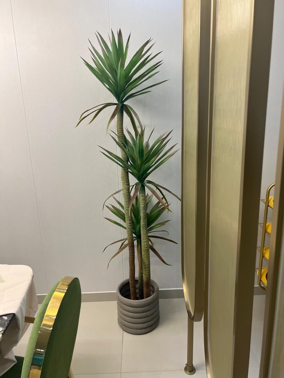 Real Touch Artificial Yucca Plant – 160cm - Enkaji Households