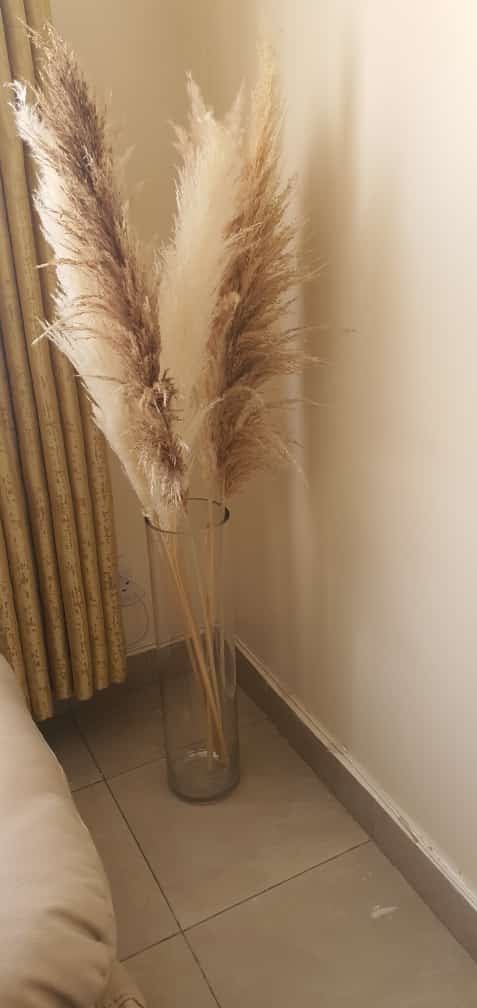 Big Fluffy Pampas Grass – Elegant Decorative Dried Flowers - Enkaji Households