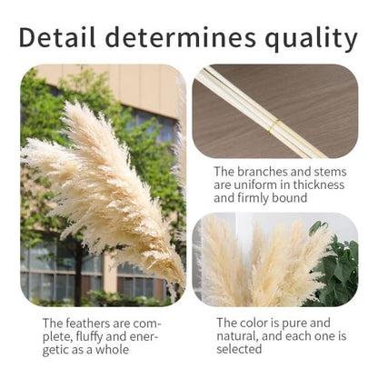 Big Fluffy Pampas Grass – Elegant Decorative Dried Flowers - Enkaji Households