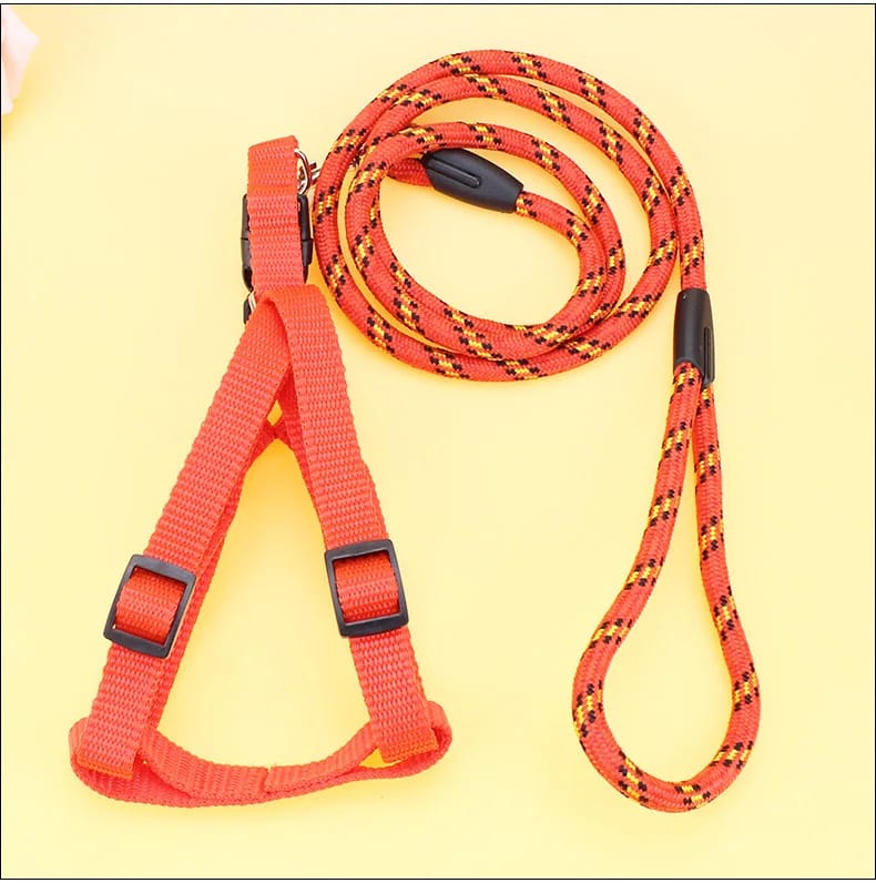 Dog leash and harness - Enkaji Households