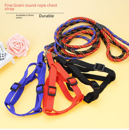 Dog leash and harness - Enkaji Households