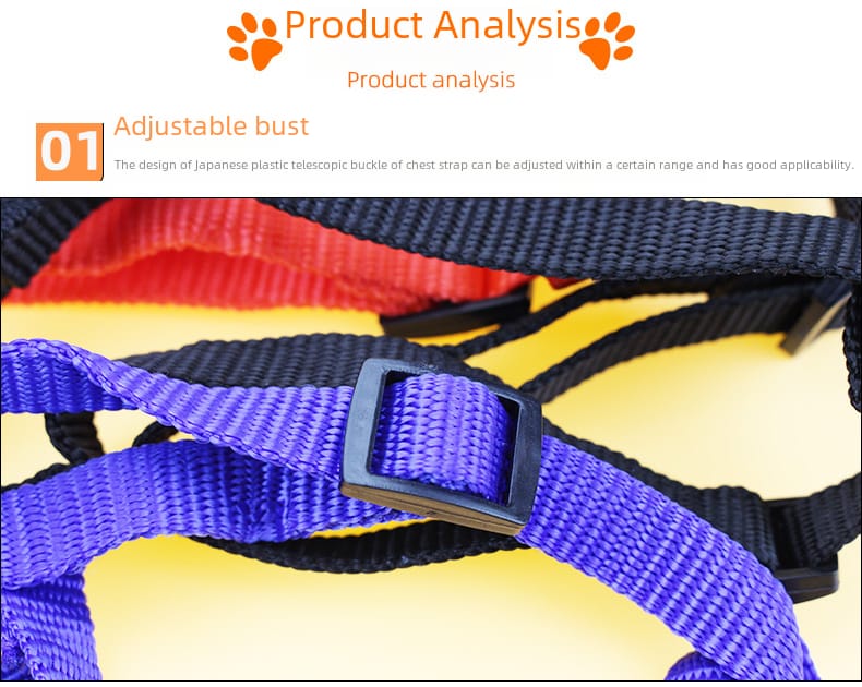 Dog leash and harness - Enkaji Households