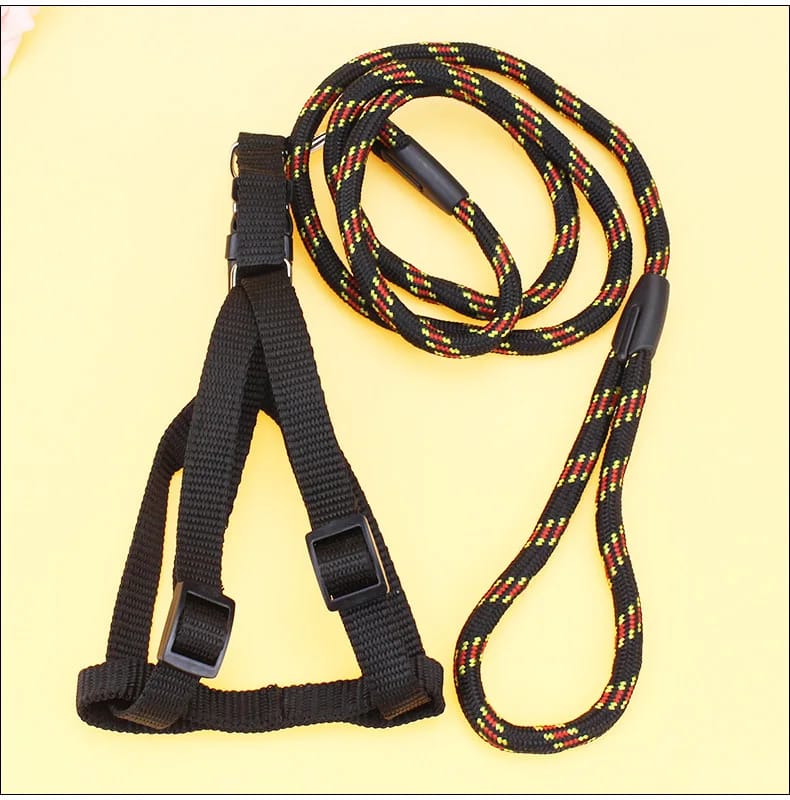 Dog leash and harness - Enkaji Households