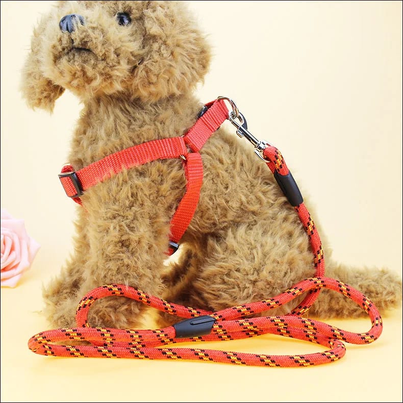 Dog leash and harness - Enkaji Households