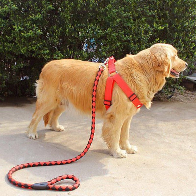 Dog leash and harness - Enkaji Households