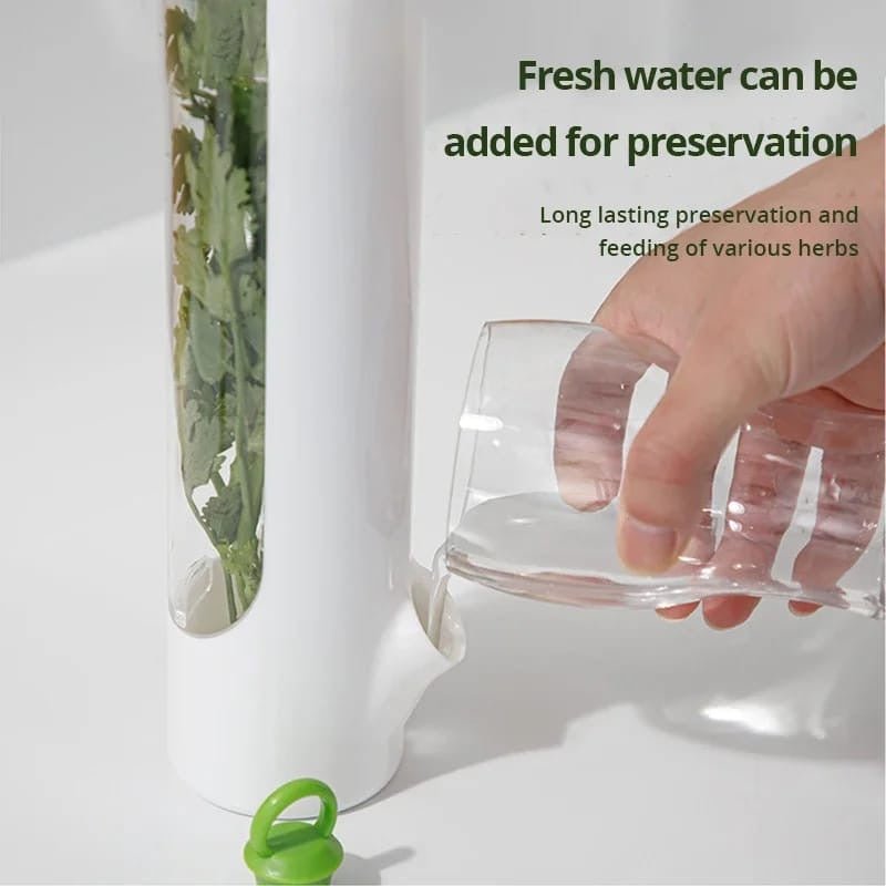 Herbs fridge preservation bottle - Enkaji Households