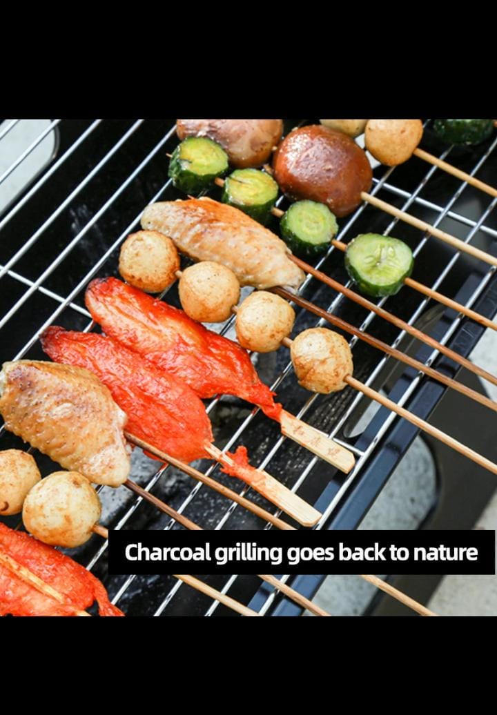 Portable BBQ Grill With Cooking Plate - Enkaji Households