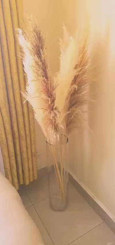 Big Fluffy Pampas Grass – Elegant Decorative Dried Flowers