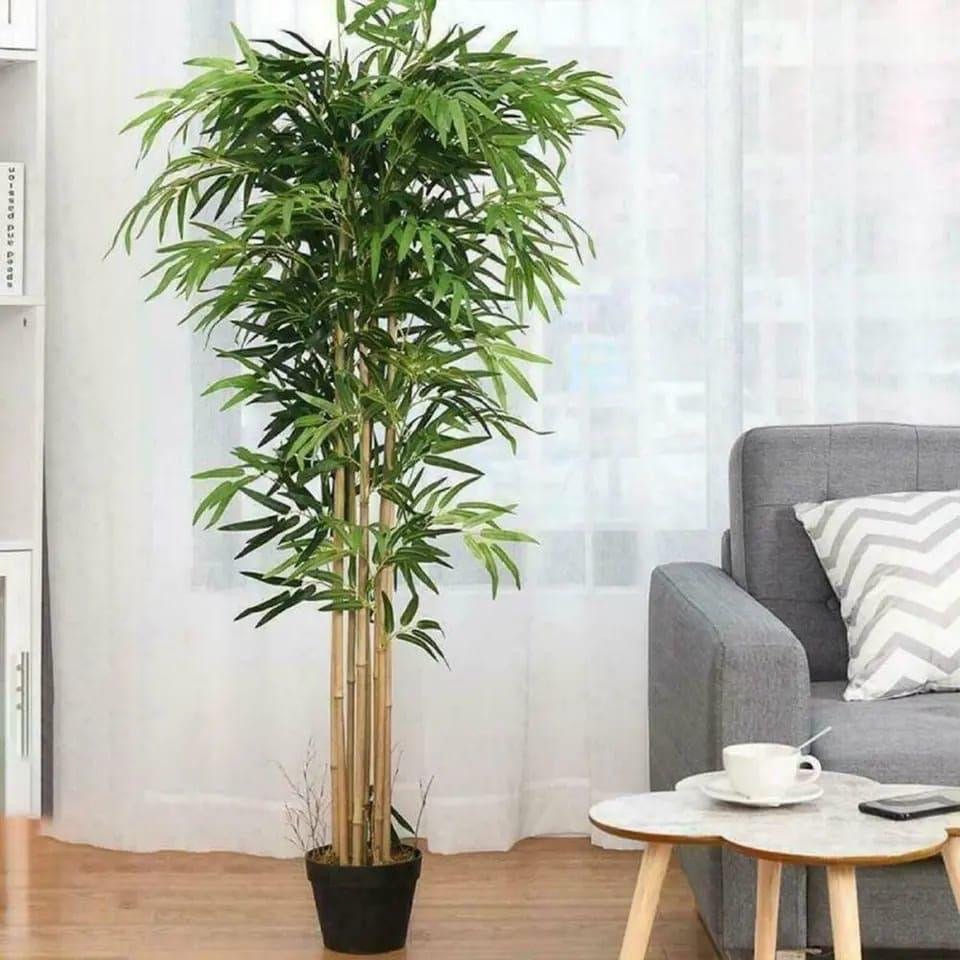 Real Touch Bamboo Plants – Lifelike Décor for Your Space - Enkaji Households