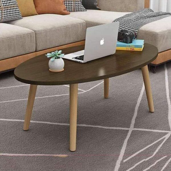 Shee Nordic Oval Coffee Table - Enkaji Households